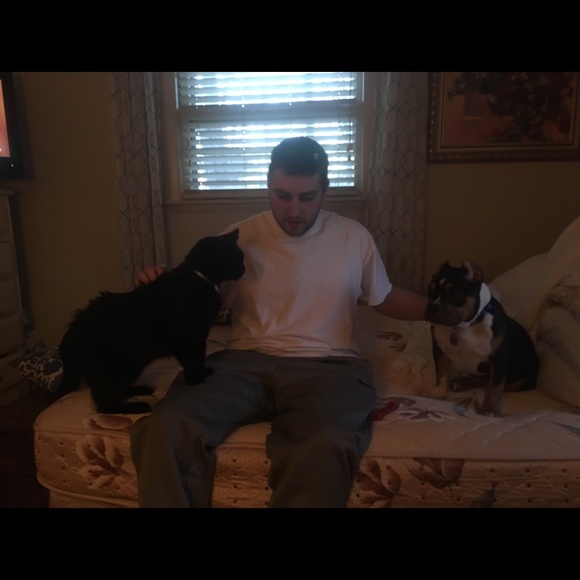 Meet your Posher, Penny - Picture 1 of 1